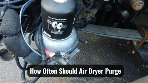 how often should air dryer purge|Optimizing Air Dryer Performance: Determining the Ideal Purge。